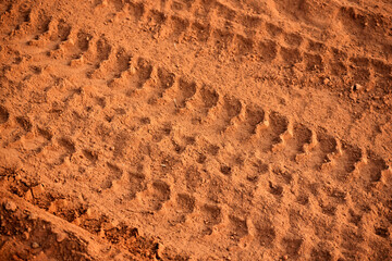 Tire tracks print on dirty red soil. Wheel marks of truck on soil texture background