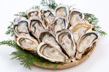 生牡蠣