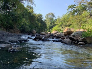 river in the forest río en el bosque agua naturaleza landscape paisaje 