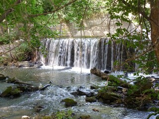 Wide waterfall in the shade of spreading trees of the forest