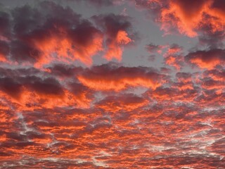 Bright red clouds at sunset
