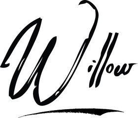 Willow -Female Name Modern Brush Calligraphy Cursive Text on White Background