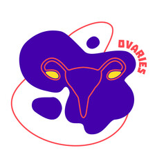 Ovaries endocrine and female reproductive systems body organ outline icon on abstract geometric splash. Human anatomy medical cartoon symbol. Vector illustration.
