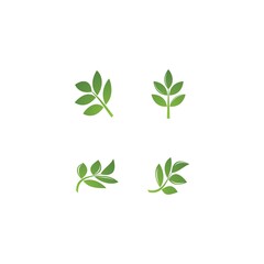 leaf vector logo  icon