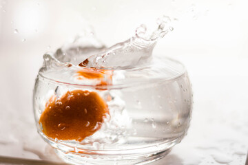 fruta quinoto naranja  cae en alta velocidad en compotera de cristal para hacer dulce o mermelada cordoba argentina