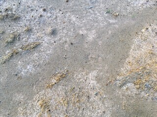 stone on the beach
