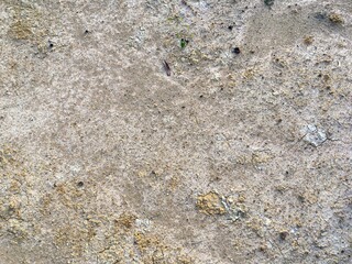 texture of a stone