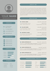 Modern professional resume cv template. Curriculum Vitae Template