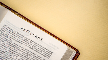 Open pages of the bible background (book of Proverbs)