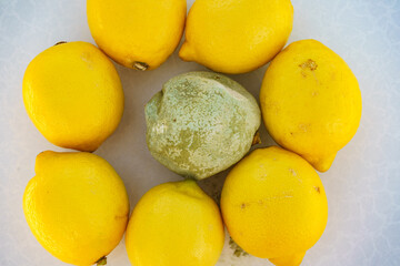 Healthy and rotten lemon fruits