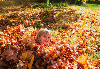 cute little girl playing with autumn fall leaves