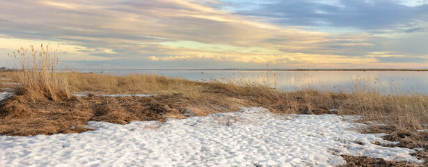 Sunset of spring landscape with sea and sky in yellow shades of snow cover and dry grass.