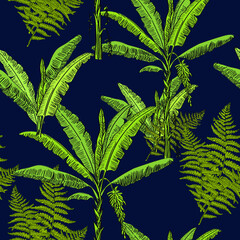 leaf vector background of hand drawn palm trees