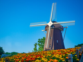 【大阪】風車の丘とマリーゴールド／鶴見緑地