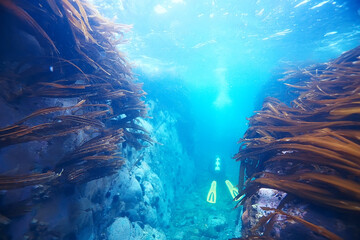 diver flippers view from the back underwater, underwater view of the back of a person swimming with scuba diving © kichigin19