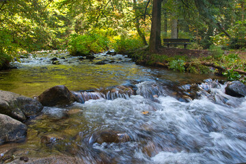 Saut des Xuves bei Xonrupt Longemer in den Vogesen