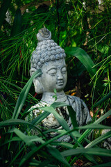 A buddha statue in a beautiful dark garden