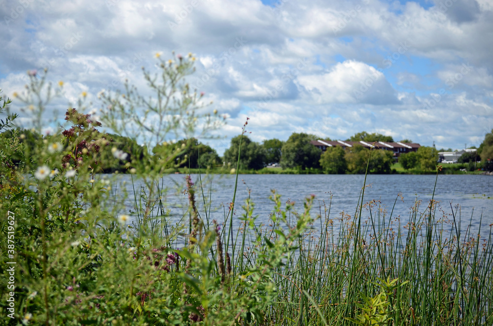 Wall mural houses by lake 2