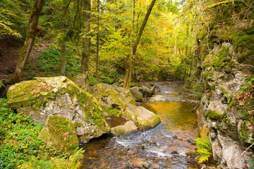 cascades de Tenon in den Vogesen