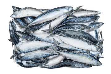 Frozen mackerel isolated. Frozen group of fish. Iced fish. Heap of mackerel isolated on white...
