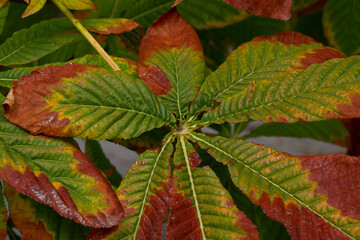 the parks are painted with the colors of autumn