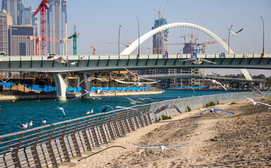 View of a Dubai's landscape with seagulls and water canal in the foreground. Famous bridge known as tolerance bridge can be seen in the scene. UAE.