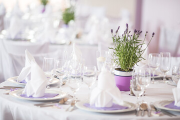 Lovely wedding venue - Wedding reception room, tables set and ready