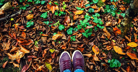 banner for web Close up of legs walking in the forest, legs on a forest hiking trail covered in autumn leaves and roots, going up