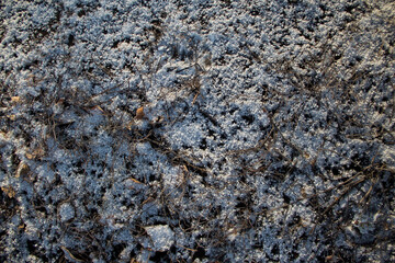 texture background snow