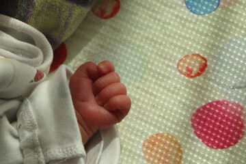 可愛い新生児の手と足