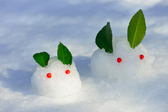 雪うさぎ」の写真素材 | 3,483件の無料イラスト画像 | Adobe Stock