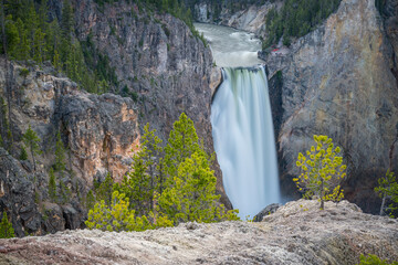 lower falls of the yellowstone national park in the grand canyon, wyoming, usa