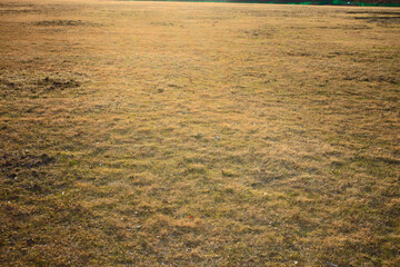 夕暮れのグラウンド