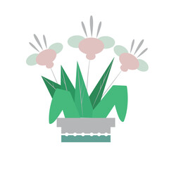 Beautiful picture of home plant