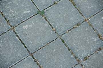 Obraz premium grey paving tiles texture or background