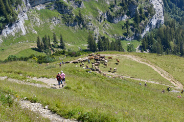 Fototapeta na wymiar Hoher Kasten Appenzeller Alpen