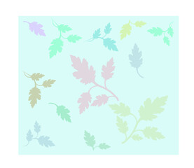 autumn leaves background with soft color