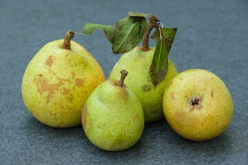 Vier frische grüne Birnen nach der Ernte im Herbst