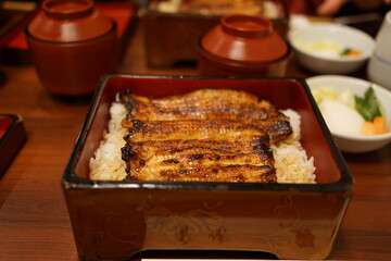 japanese grilled eel with rice