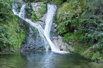 Fototapeta na wymiar Lierbach waterfall in woods of Black Forest, near Allerheiligen, Germany
