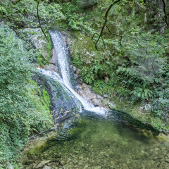 clear pond at Lierbach waterfall in woods of Black Forest, near Allerheiligen, Germany