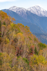 紅葉と冠雪した南アルプス聖岳