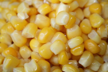 close up of corn