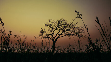 sunset over the lake