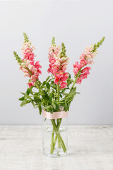 Pink matthiola flowers on the table.