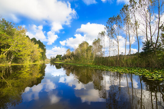Acarlar Longoz Ormanları ve G&ouml;l&uuml; - Acarlar Foodplain Forest and Lake - Sakarya TURKEY