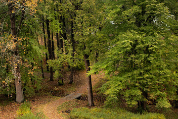 Fototapeta na wymiar Small grove with autumn trees and a small bridge top view