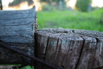 Fototapeta premium log wood