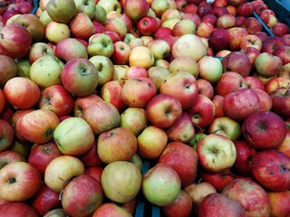 Bunch  apples on boxes in supermarket. Apple put on sale shelves in the supermarket. Fresh ripe apples displayed beautifully. 