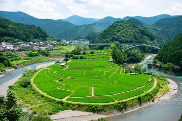 夏のあらぎ島